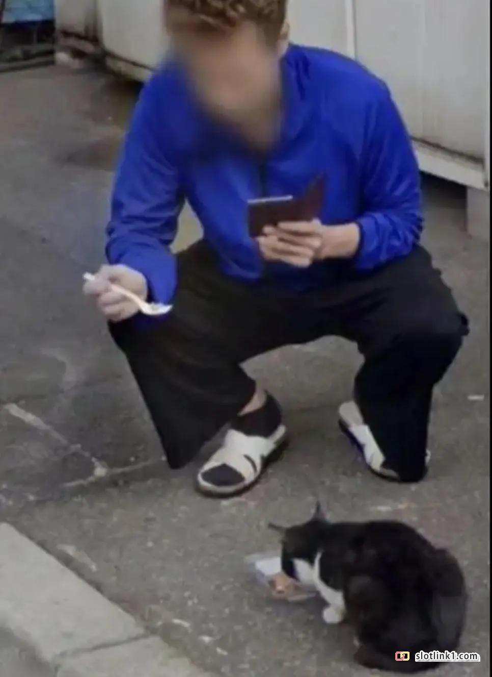 1783223307_2.jpg
