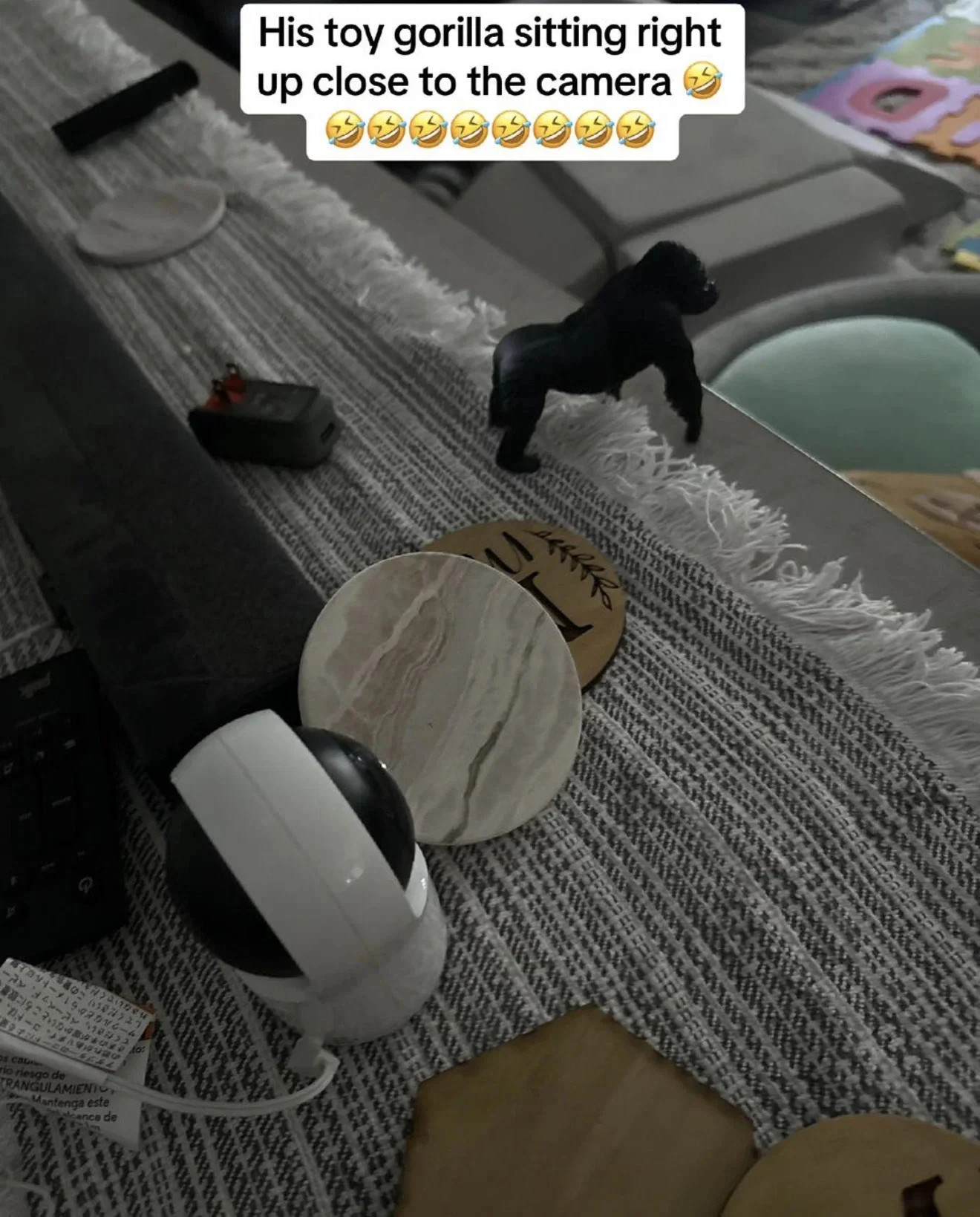 1783758254_1.jpg