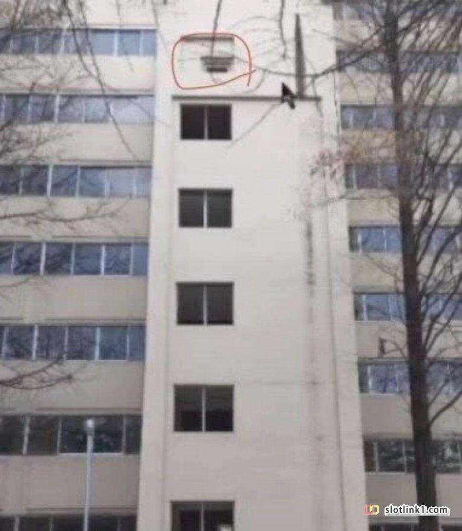 1777869562_1.jpg
