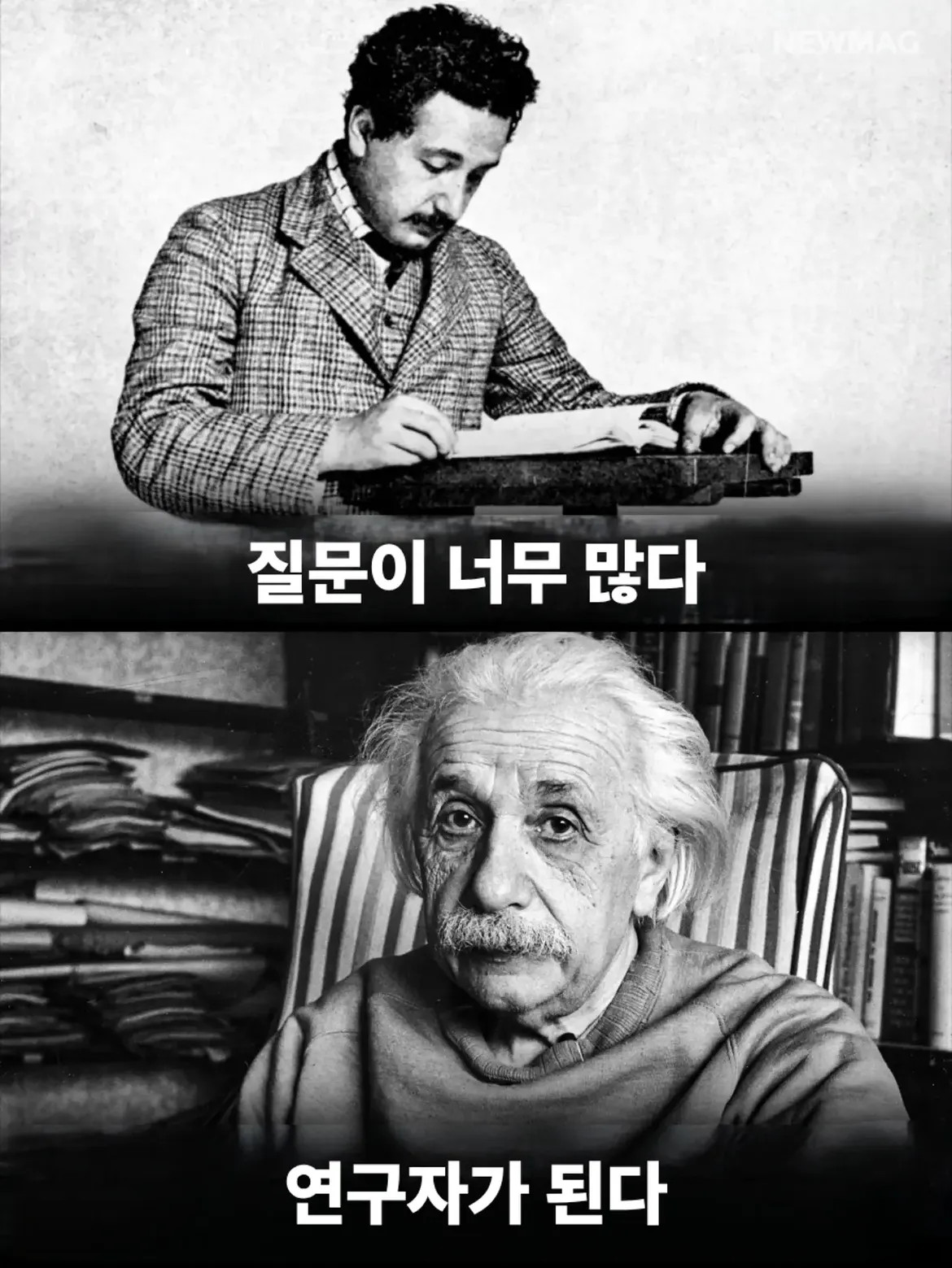 1787365593_6.jpg