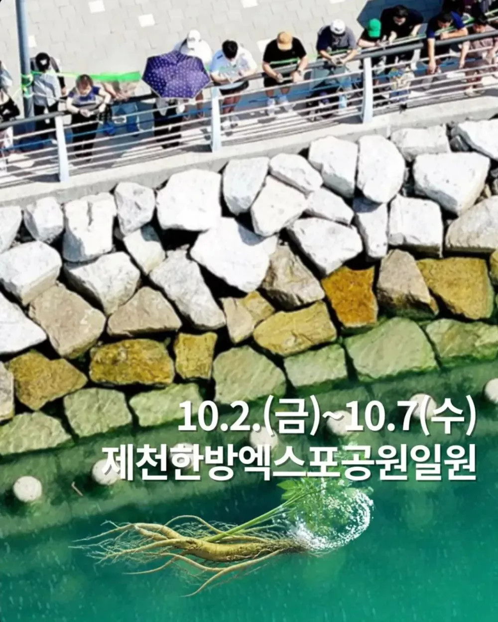 1790817258_1.jpg